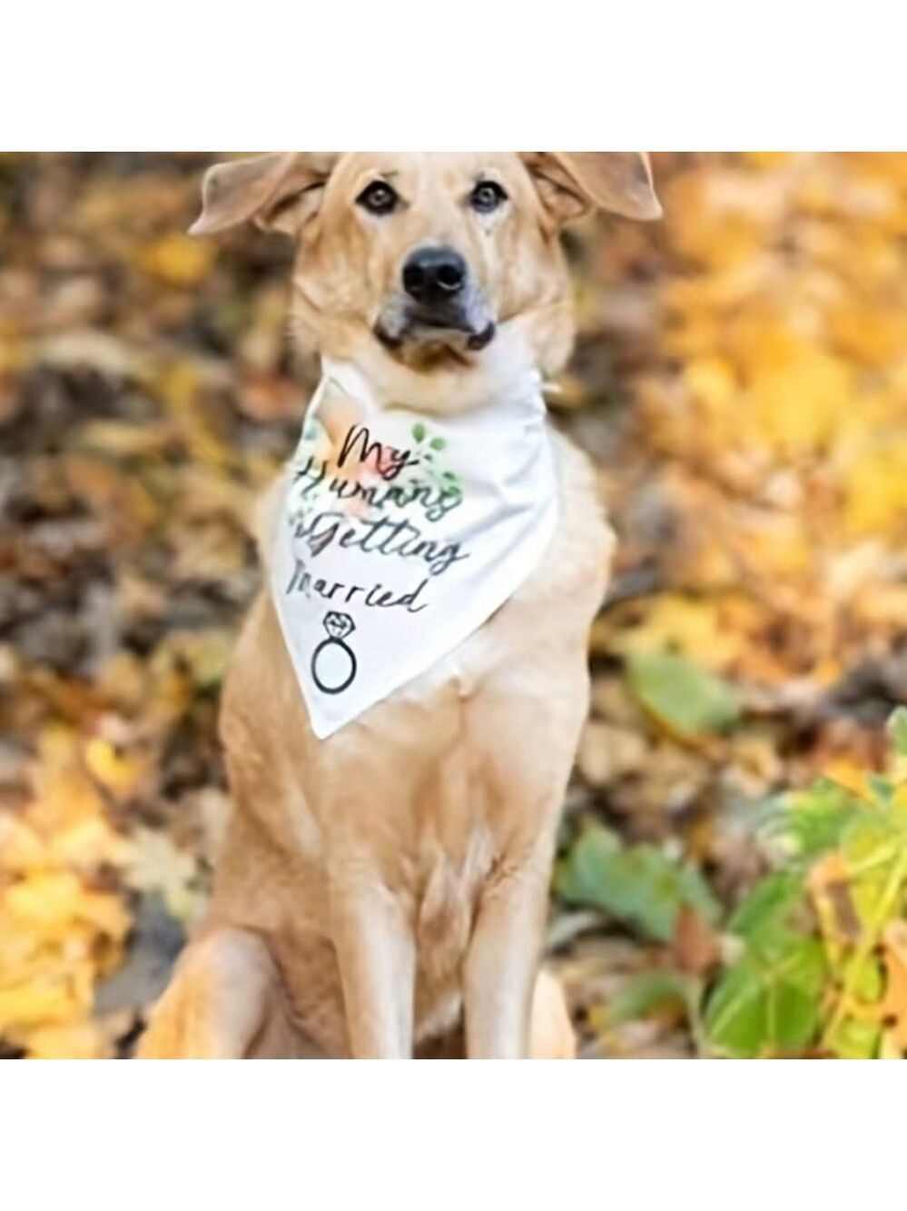 Wedding “My Humans are Getting Wedding” Married Dog Bandana